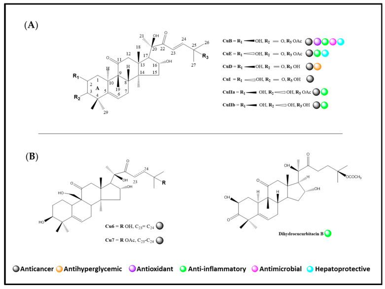 https://cdn.ncbi.nlm.nih.gov/pmc/blobs/07e4/9696414/108f5cfb8ba6/pharmaceuticals-15-01325-g001.jpg
