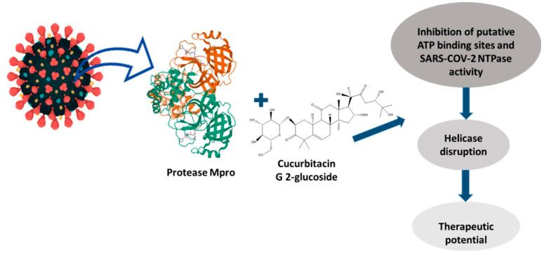 https://cdn.ncbi.nlm.nih.gov/pmc/blobs/07e4/9696414/335b9a092da2/pharmaceuticals-15-01325-g004.jpg