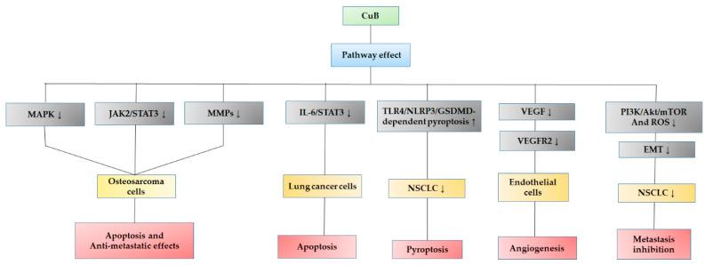 https://cdn.ncbi.nlm.nih.gov/pmc/blobs/07e4/9696414/c9265de8adcb/pharmaceuticals-15-01325-g005.jpg