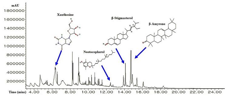 https://cdn.ncbi.nlm.nih.gov/pmc/blobs/07e6/8929052/10b2f3b4f95d/cimb-43-00133-g002.jpg