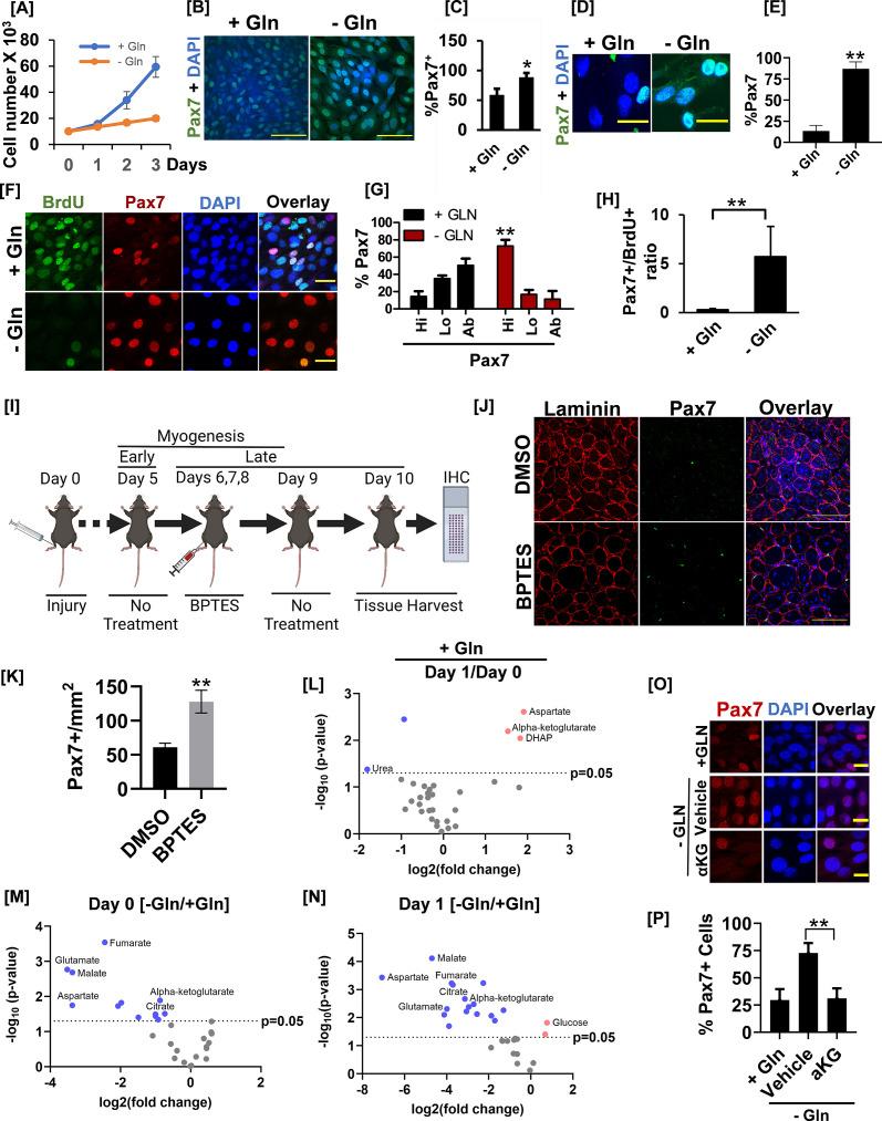 https://cdn.ncbi.nlm.nih.gov/pmc/blobs/07e9/10162801/32222ed3aef1/elife-81717-fig5.jpg