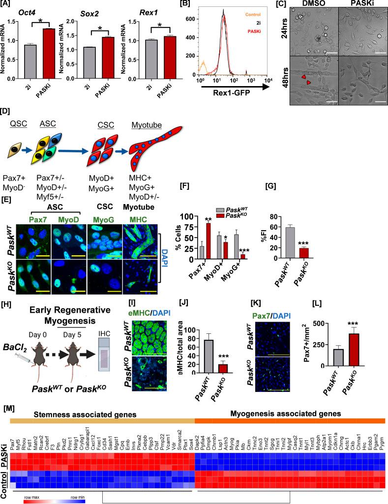 https://cdn.ncbi.nlm.nih.gov/pmc/blobs/07e9/10162801/5561e19a9d24/elife-81717-fig1.jpg