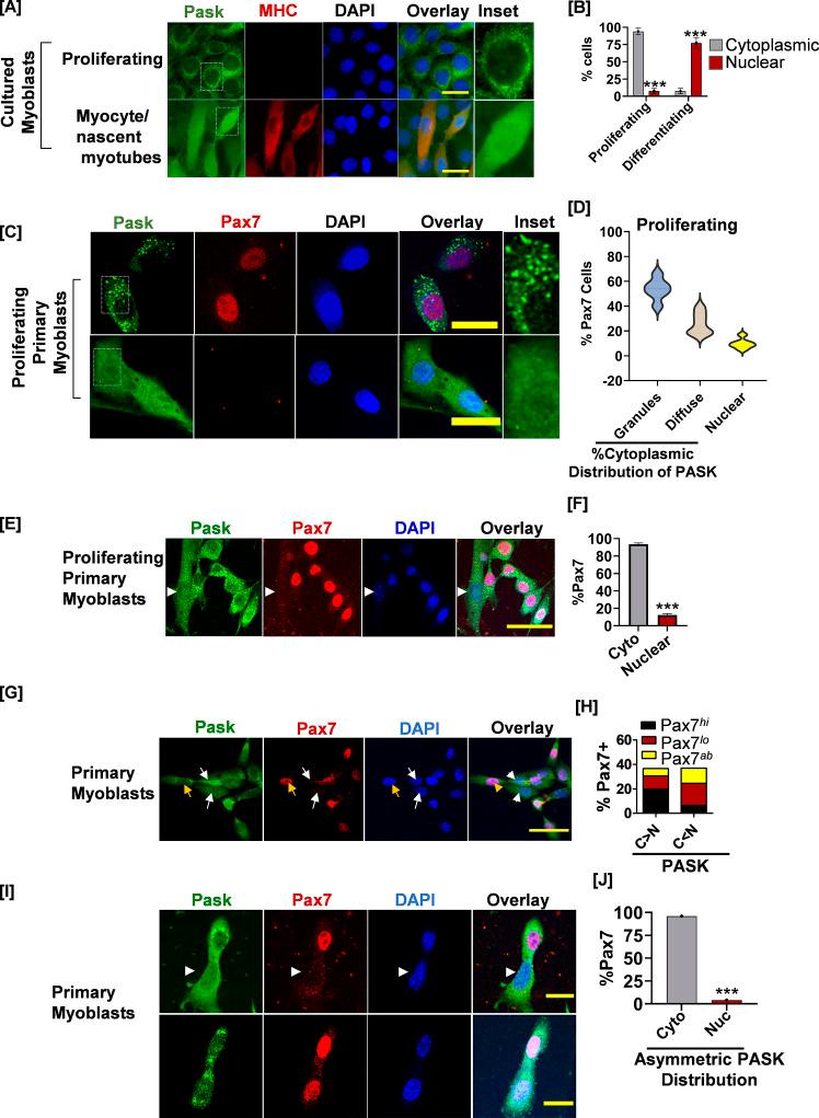 https://cdn.ncbi.nlm.nih.gov/pmc/blobs/07e9/10162801/9b48fbf353a4/elife-81717-fig2.jpg