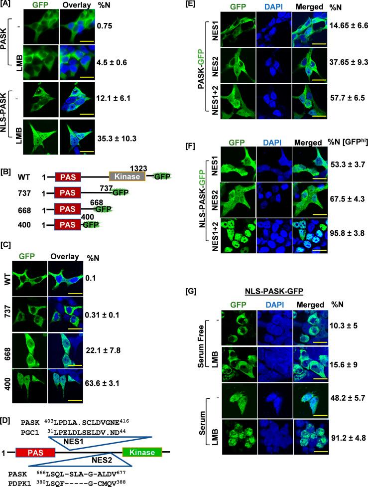 https://cdn.ncbi.nlm.nih.gov/pmc/blobs/07e9/10162801/da0718a06b2e/elife-81717-fig3.jpg
