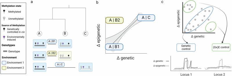 https://cdn.ncbi.nlm.nih.gov/pmc/blobs/07e9/11762325/70ad7e7daa89/41467_2025_55989_Fig1_HTML.jpg