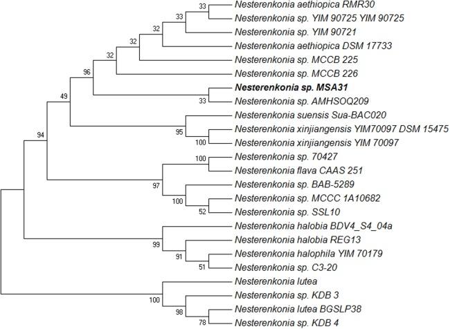 https://cdn.ncbi.nlm.nih.gov/pmc/blobs/07ea/5488535/03448bd6c8b9/fmicb-08-01138-g001.jpg