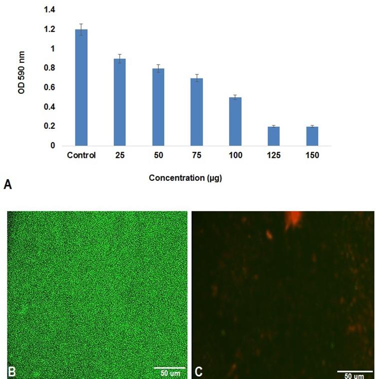 https://cdn.ncbi.nlm.nih.gov/pmc/blobs/07ea/5488535/4ad9b495a757/fmicb-08-01138-g005.jpg