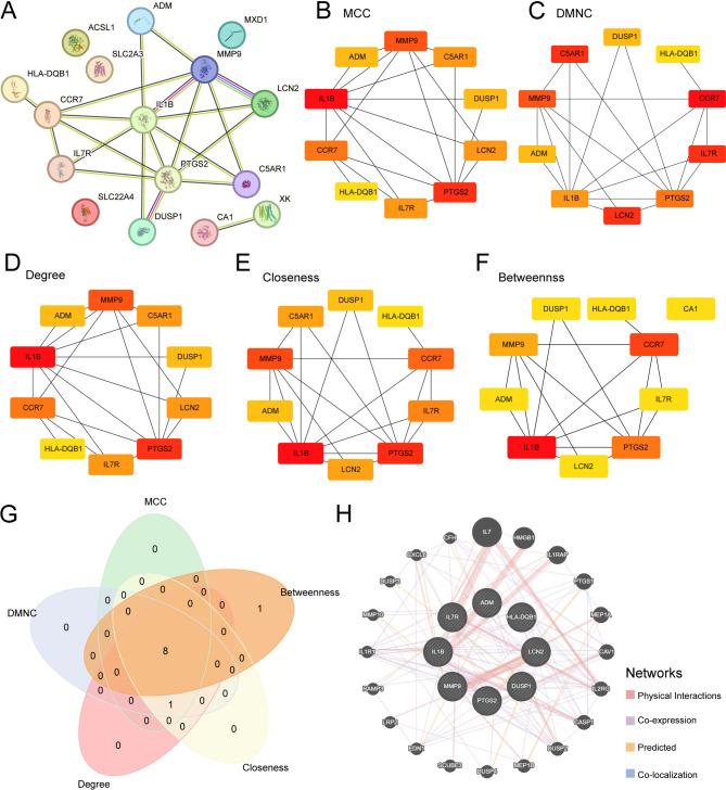 https://cdn.ncbi.nlm.nih.gov/pmc/blobs/07eb/12044060/149107cfd9fa/41598_2025_369_Fig6_HTML.jpg