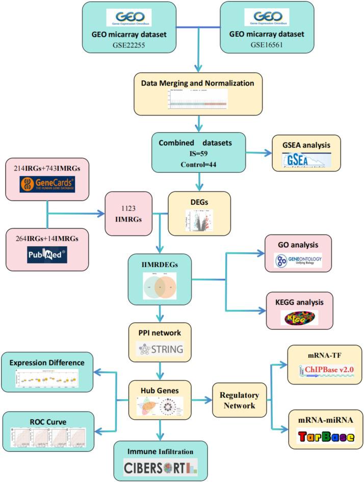 https://cdn.ncbi.nlm.nih.gov/pmc/blobs/07eb/12044060/f7fe5743fc5b/41598_2025_369_Fig1_HTML.jpg