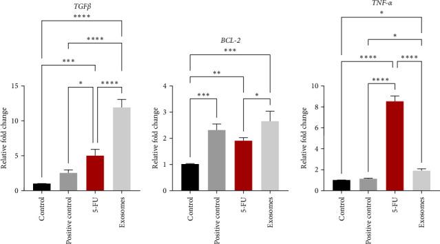 https://cdn.ncbi.nlm.nih.gov/pmc/blobs/07ec/11986938/87af63f063e6/IJD2025-5517092.004.jpg