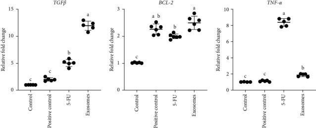https://cdn.ncbi.nlm.nih.gov/pmc/blobs/07ec/11986938/d216c1c46558/IJD2025-5517092.005.jpg