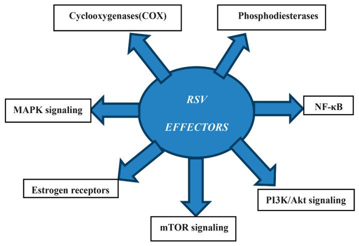https://cdn.ncbi.nlm.nih.gov/pmc/blobs/07ec/8227384/722d25d1d7ce/antioxidants-10-00858-g004.jpg