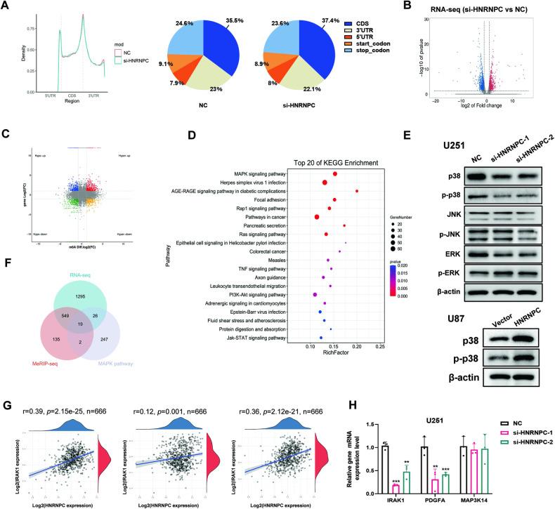 https://cdn.ncbi.nlm.nih.gov/pmc/blobs/07ee/11148022/d6085e7528f5/41419_2024_6736_Fig3_HTML.jpg