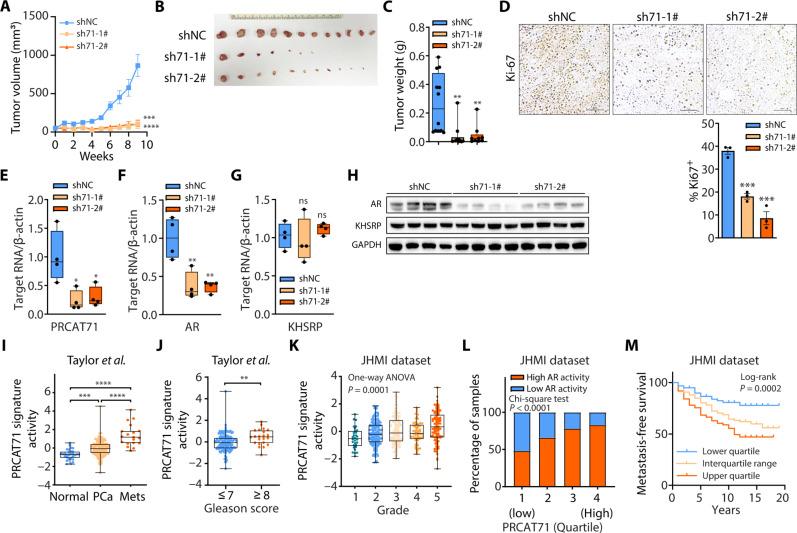 https://cdn.ncbi.nlm.nih.gov/pmc/blobs/07f0/11980854/5a6a8efae121/sciadv.adk6989-f7.jpg
