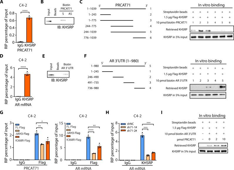 https://cdn.ncbi.nlm.nih.gov/pmc/blobs/07f0/11980854/9189430e215b/sciadv.adk6989-f4.jpg