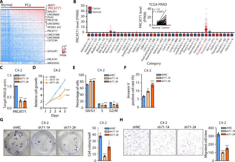 https://cdn.ncbi.nlm.nih.gov/pmc/blobs/07f0/11980854/fa82d09f2d21/sciadv.adk6989-f1.jpg