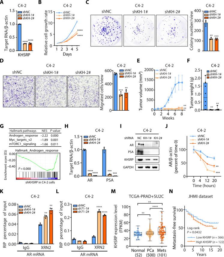 https://cdn.ncbi.nlm.nih.gov/pmc/blobs/07f0/11980854/fc016320f0b2/sciadv.adk6989-f5.jpg