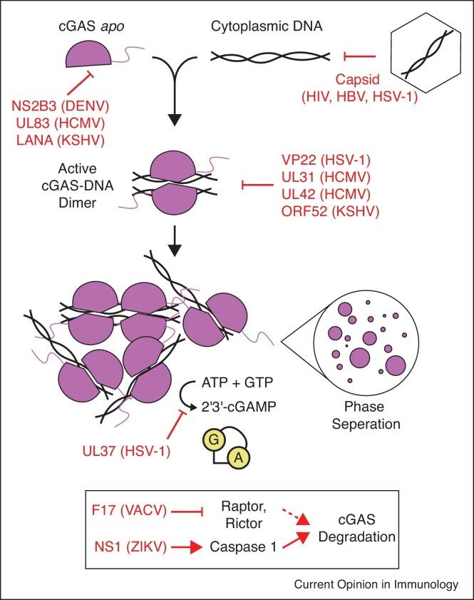 https://cdn.ncbi.nlm.nih.gov/pmc/blobs/07f0/7158794/0c09596d02a1/gr2_lrg.jpg