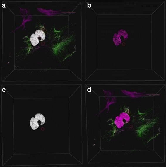 https://cdn.ncbi.nlm.nih.gov/pmc/blobs/07f2/5333173/09565874374f/12859_2016_1446_Fig3_HTML.jpg