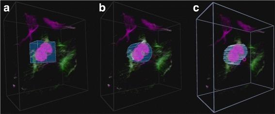 https://cdn.ncbi.nlm.nih.gov/pmc/blobs/07f2/5333173/7ee154665abf/12859_2016_1446_Fig4_HTML.jpg