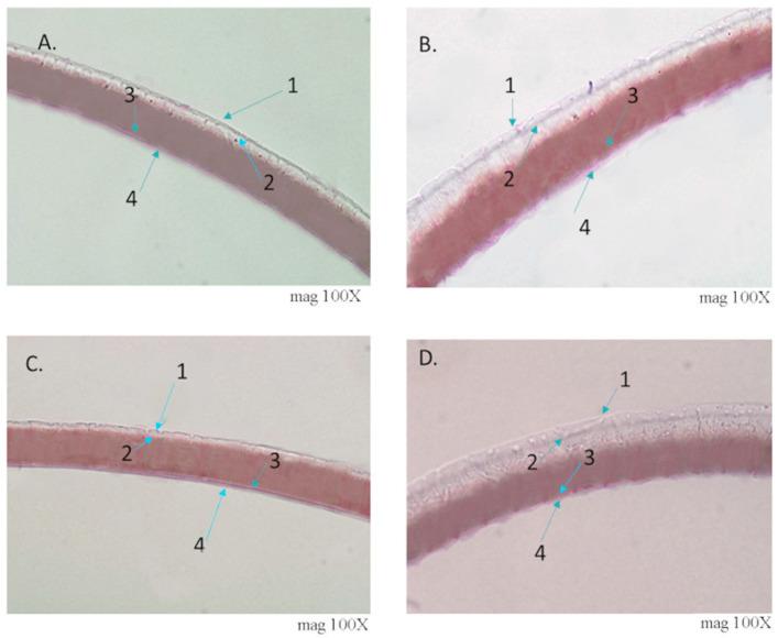 https://cdn.ncbi.nlm.nih.gov/pmc/blobs/07f5/8229054/14da37660f3e/insects-12-00537-g007.jpg
