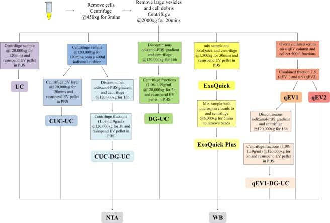 https://cdn.ncbi.nlm.nih.gov/pmc/blobs/07f6/6978318/2dd846909938/41598_2020_57497_Fig1_HTML.jpg