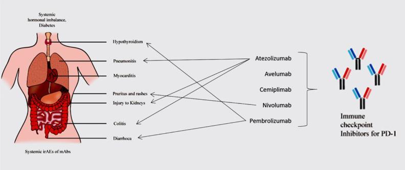 https://cdn.ncbi.nlm.nih.gov/pmc/blobs/07f6/8493325/7717b7f54f1c/10.1177_09636897211041587-fig2.jpg