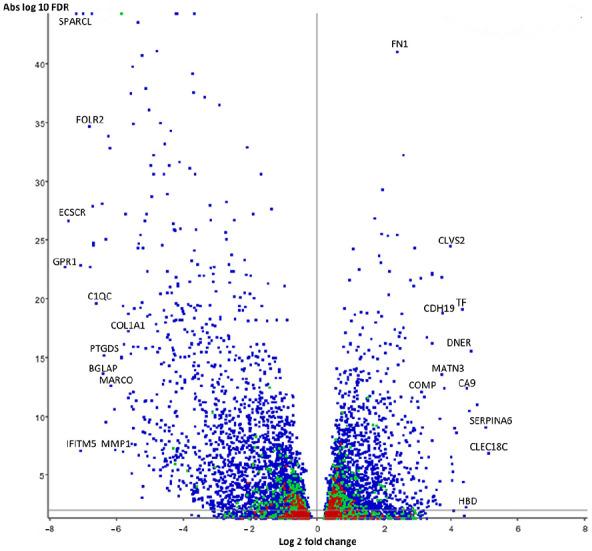 https://cdn.ncbi.nlm.nih.gov/pmc/blobs/07fa/8808811/535dfa9c101f/10.1177_19476035211057245-fig2.jpg