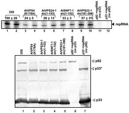 https://cdn.ncbi.nlm.nih.gov/pmc/blobs/07fb/2791863/f49ee0739f7b/ppat.1000705.g002.jpg