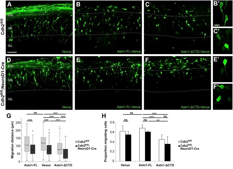 https://cdn.ncbi.nlm.nih.gov/pmc/blobs/07fc/6196552/f6a04cc28c5a/pnas.1811100115fig05.jpg