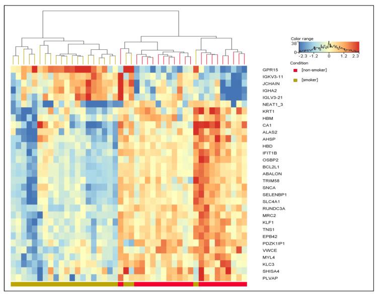 https://cdn.ncbi.nlm.nih.gov/pmc/blobs/07fd/10530857/9e1fa2781568/ijms-24-13920-g002.jpg