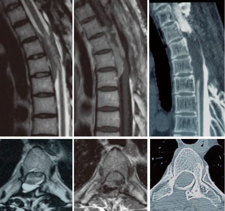 https://cdn.ncbi.nlm.nih.gov/pmc/blobs/07fd/5346626/1a0ecd6e7187/2186-3326-79-0097-g002.jpg