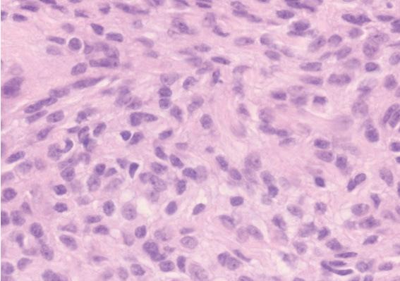 https://cdn.ncbi.nlm.nih.gov/pmc/blobs/07fd/5346626/c5073fe659df/2186-3326-79-0097-g003.jpg