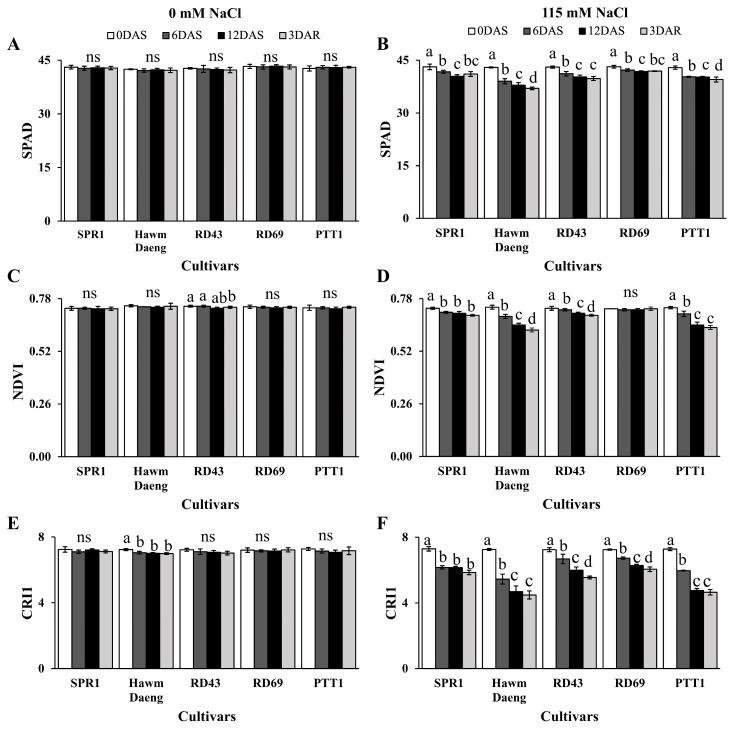 https://cdn.ncbi.nlm.nih.gov/pmc/blobs/07ff/11944574/7afe9dca071a/plants-14-00885-g001.jpg