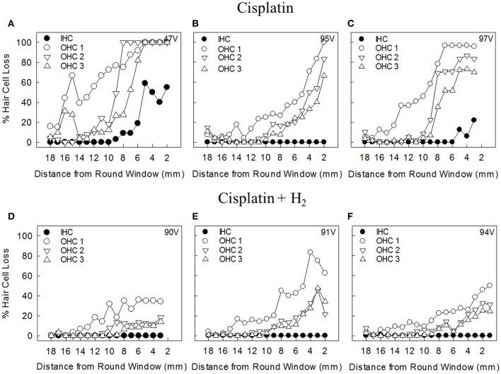 https://cdn.ncbi.nlm.nih.gov/pmc/blobs/0800/5601388/717ac56a2fbe/fncel-11-00280-g0005.jpg