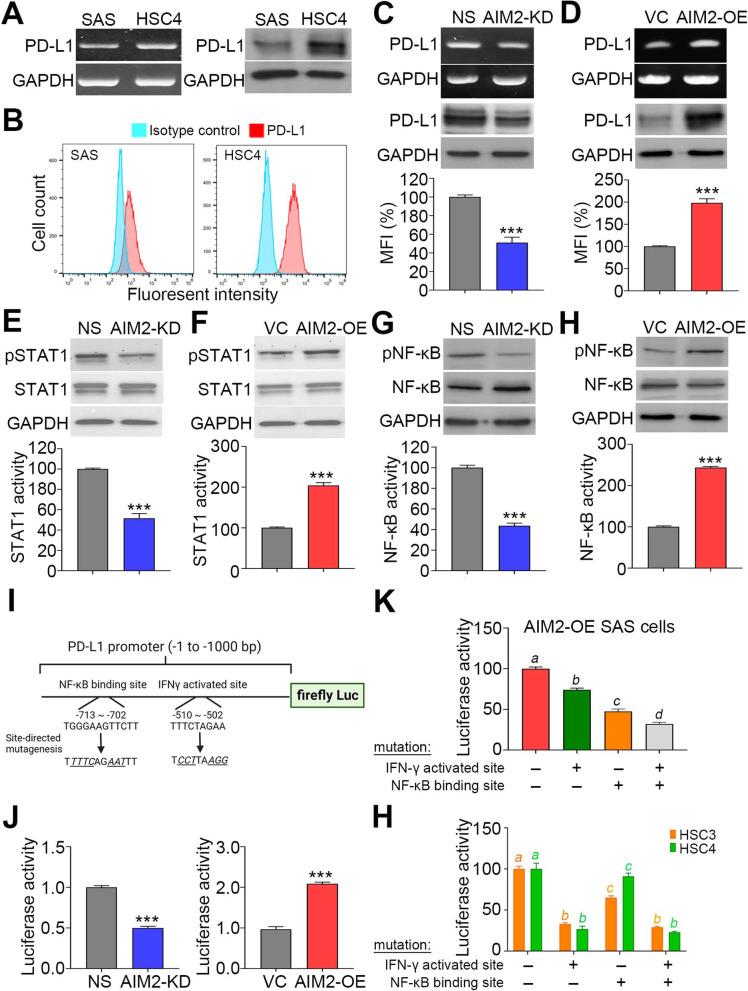 https://cdn.ncbi.nlm.nih.gov/pmc/blobs/0802/10762966/50598b282baf/12967_2023_4825_Fig4_HTML.jpg