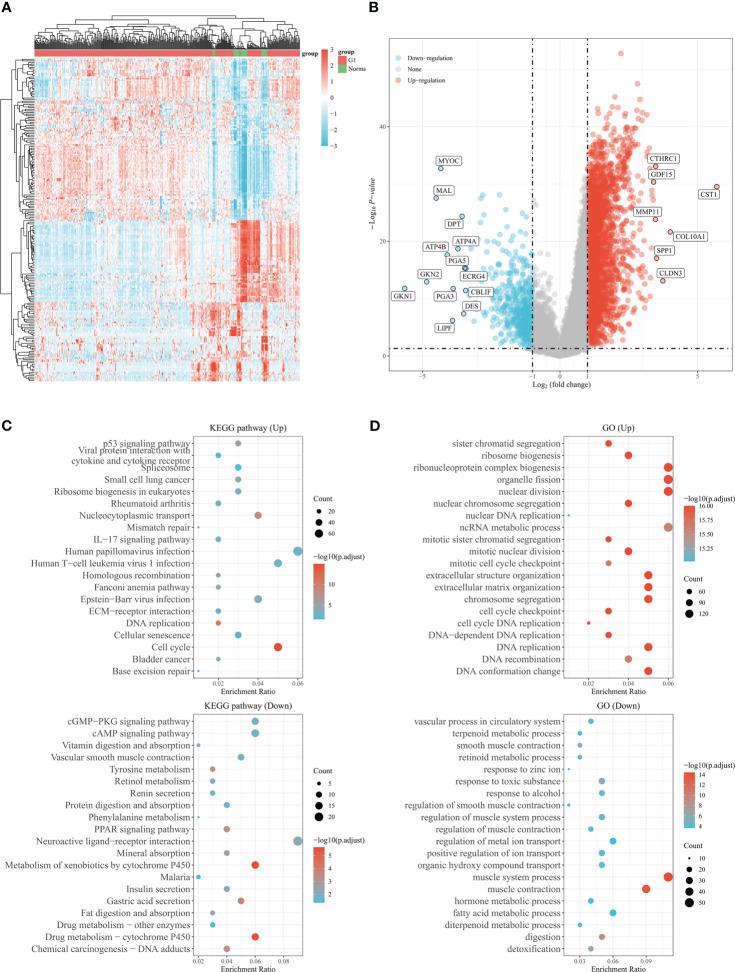 https://cdn.ncbi.nlm.nih.gov/pmc/blobs/0803/10316024/30ed2109a4c7/fonc-13-1210994-g002.jpg
