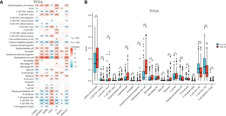 https://cdn.ncbi.nlm.nih.gov/pmc/blobs/0803/10316024/31e2f20eb3a6/fonc-13-1210994-g009.jpg