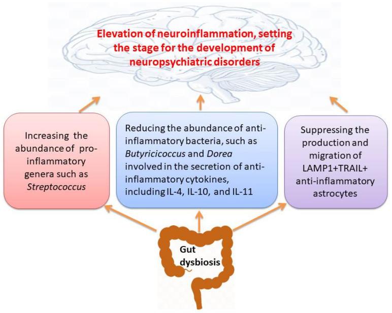 https://cdn.ncbi.nlm.nih.gov/pmc/blobs/0803/12249038/46741ae9502c/cells-14-01027-g001.jpg