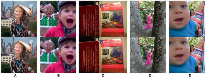 https://cdn.ncbi.nlm.nih.gov/pmc/blobs/0804/8262572/d4be67b3c88e/fnbot-15-695960-g0004.jpg