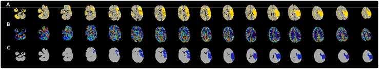 https://cdn.ncbi.nlm.nih.gov/pmc/blobs/0805/10523426/b89ae39dfc9f/gr4.jpg