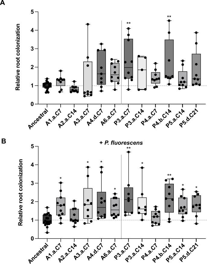 https://cdn.ncbi.nlm.nih.gov/pmc/blobs/0806/10878085/3d4b7bb6bd5e/msystems.00843-23.f004.jpg