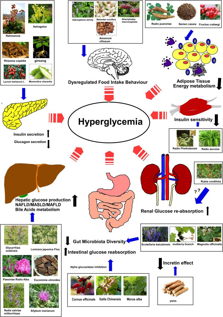 https://cdn.ncbi.nlm.nih.gov/pmc/blobs/0808/12087792/48181b35e361/DMSO-18-1599-g0002.jpg