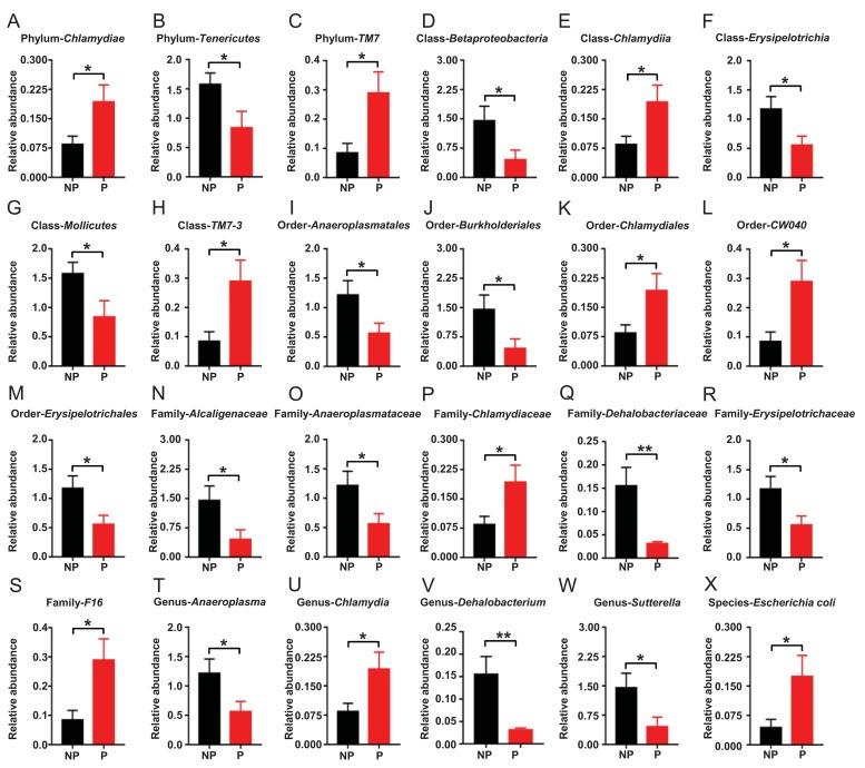 https://cdn.ncbi.nlm.nih.gov/pmc/blobs/080d/6461176/a9c41c6edbc3/aging-11-101871-g004.jpg