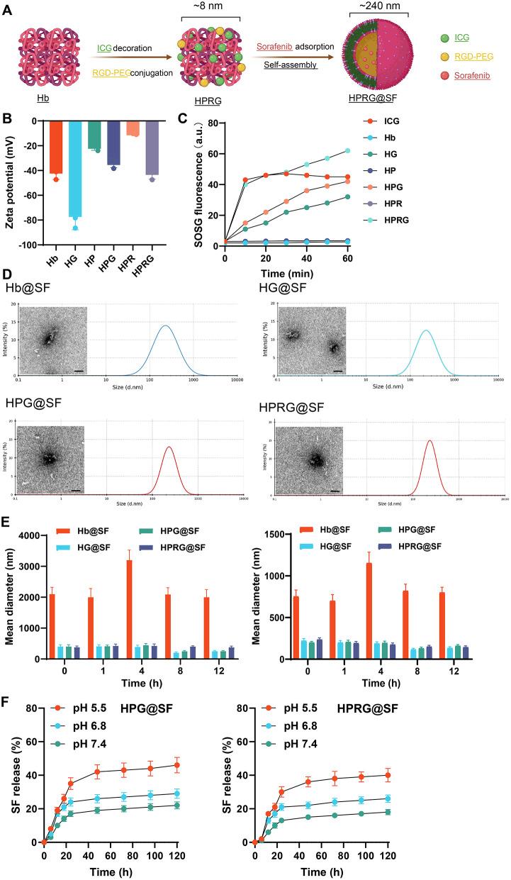 https://cdn.ncbi.nlm.nih.gov/pmc/blobs/0810/11318167/1449cff30339/12951_2024_2717_Fig4_HTML.jpg