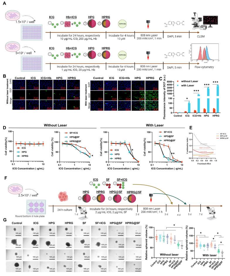 https://cdn.ncbi.nlm.nih.gov/pmc/blobs/0810/11318167/4385a7f25e4b/12951_2024_2717_Fig7_HTML.jpg