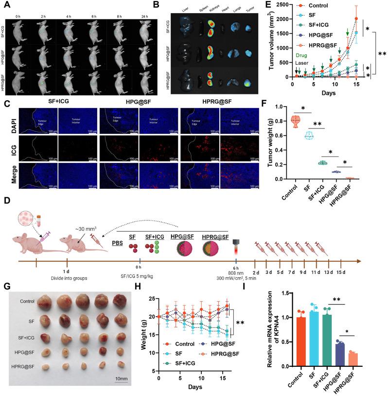 https://cdn.ncbi.nlm.nih.gov/pmc/blobs/0810/11318167/4d88e62d83c1/12951_2024_2717_Fig8_HTML.jpg