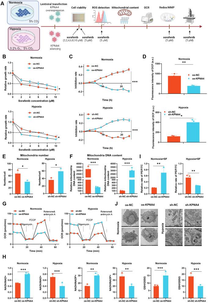 https://cdn.ncbi.nlm.nih.gov/pmc/blobs/0810/11318167/a0980e1c06f1/12951_2024_2717_Fig3_HTML.jpg