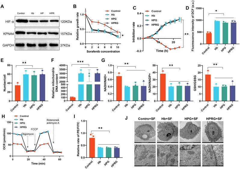 https://cdn.ncbi.nlm.nih.gov/pmc/blobs/0810/11318167/c6915c99a0c4/12951_2024_2717_Fig6_HTML.jpg