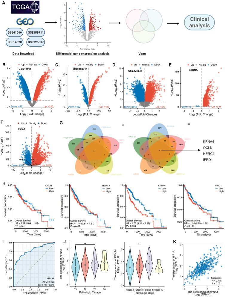 https://cdn.ncbi.nlm.nih.gov/pmc/blobs/0810/11318167/e06303c3e47c/12951_2024_2717_Fig2_HTML.jpg